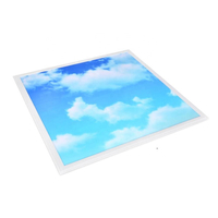 Индивидуальные офисные потолочные светильники Blue Sky Cloud Led Производитель